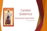 Cambio Sistémico Elementos Esenciales Familia Vicenciana.