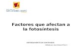Factores que afectan a la fotosíntesis REFORZAMIENTO DE CONTENIDOS Editado por: Juan Manuel Pinto C.-