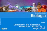 PPTCES007CB31-A15V1 Clase Concepto de hormona. Hormonas animales y vegetales.