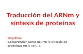 Traducción del ARNm y síntesis de proteínas Objetivo: Comprender como ocurre la síntesis de proteínas en la célula.
