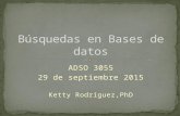ADSO 3055 29 de septiembre 2015 Ketty Rodríguez,PhD.