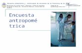Encuesta antropométrica Encuesta alimentaria y nutricional de escolares de la Provincia de Corrientes Ministerios de Acción Social, Educación y Salud de.