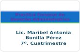 Lic. Maribel Antonia Bonilla Pérez 7º. Cuatrimestre Practica Forense de Derecho Administrativo.