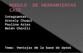 Integrantes: Aracely Chuqui Paulina Arias Belén Chinlli Tema: Ventajas de la base de datos.