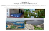 Destreza: Analizar el impacto de la escasez de agua dulce en el desarrollo de la vida en el ecosistema terrestre de Galápagos PARCIAL #3 BLOQUE #3: ECOSISTEMA.