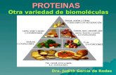 PROTEINAS Otra variedad de biomoléculas Dra. Judith García de Rodas.