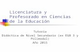 Licenciatura y Profesorado en Ciencias de la Educación Tutoría Didáctica de Nivel Secundario (ex EGB 3 y Polimodal) Año 2015.