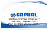 GESTION CAPITALES MARZO 2014 SUBGERENCIA OPERACIONES DPTO. OPERACIONES FINANCIERAS Preparado por: Luis Poblete R.