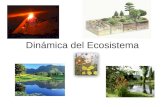 Dinámica del Ecosistema. El Ecosistema Es una estructura compleja constituida por una biocenosis y el biotopo que ocupa. Los límites de un ecosistema.