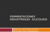FERMENTACIONES INDUSTRIALES GLICOLISIS Asignatura: Microbiología industrial M.Sc. Wendy Ruth Céspedes Rivera.