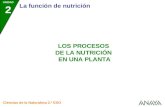 UNIDAD 2 La función de nutrición Ciencias de la Naturaleza 2.º ESO LOS PROCESOS DE LA NUTRICIÓN EN UNA PLANTA.
