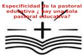“Pastoral Educativa” No existe un solo modelo Algunos tipos de Pastoral: La pastoral educativa de la gestión Relacionado con el “equipo de conducción.