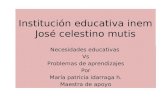 Institución educativa inem José celestino mutis Necesidades educativas Vs Problemas de aprendizajes Por María patricia idarraga h. Maestra de apoyo.