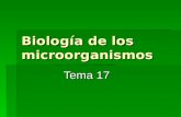 Pulse para añadir texto Biología de los microorganismos Tema 17.