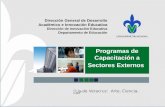 “Lis de Veracruz: Arte, Ciencia, Luz” Programas de Capacitación a Sectores Externos Dirección General de Desarrollo Académico e Innovación Educativa Dirección.