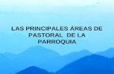 LAS PRINCIPALES ÁREAS DE PASTORAL DE LA PARROQUIA.