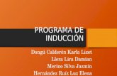 PROGRAMA DE INDUCCIÓN Dongú Calderón Karla Lizet Llera Lira Damian Merino Silva Jazmín Hernández Ruíz Luz Elena.