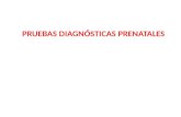 PRUEBAS DIAGNÓSTICAS PRENATALES. DIAGNOSTICO PRENATAL DE LOS DEFECTOS CONGENITOS I.- DEFINICIONES A.Defecto Congénito: Anomalía del desarrollo morfológico.