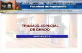 TRABAJO ESPECIAL DE GRADO TRABAJO ESPECIAL DE GRADO CAPITULO IV Y V.