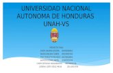 UNIVERSIDAD NACIONAL AUTONOMA DE HONDURAS UNAH-VS PROYECTO FINAL CINDY JOHANA ACOSTA 20092000961 DUNIA IDALMA FLORES 20102005765 YINY YAMILETH PACHECO.