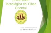 Universidad Tecnológica del Cibao Oriental Sistema de Información Gerencial Ing. Alba Lissette Peguero.