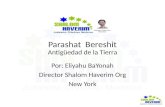 Parashat Bereshit Antigüedad de la Tierra Por: Eliyahu BaYonah Director Shalom Haverim Org New York.
