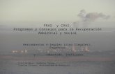 PRAS y CRAS: Programas y Consejos para la Recuperación Ambiental y Social Herramientas A-legales (sino Ilegales), Engañosas y..... sobretodo, Ineficaces.