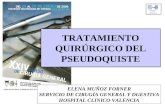 TRATAMIENTO QUIRÚRGICO DEL PSEUDOQUISTE ELENA MUÑOZ FORNER SERVICIO DE CIRUGÍA GENERAL Y DGESTIVA HOSPITAL CLINICO VALENCIA.