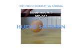INSTITUCION EDUCATIVA ABROJAL Experimento N. 5 GRADO 7.