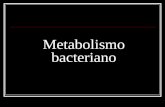 Metabolismo bacteriano. Crecimiento y Metabolismo La replicación de una bacteria implica: metabolismo bacteriano regulación y coordinación de los procesos.