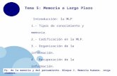 Www.company.com Ps. de la memoria y del pensamiento. Bloque I. Memoria humana. Jorge Jiménez. Introducción: la MLP 1.- Tipos de conocimiento y memoria.
