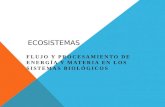 ECOSISTEMAS FLUJO Y PROCESAMIENTO DE ENERGÍA Y MATERIA EN LOS SISTEMAS BIOLÓGICOS.
