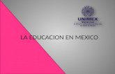 LA EDUCACION EN MEXICO. LA EDUCACION LA EDUCACION BASICA LOS NIEVELES DE LA EDUCACION LA EDUCACION PREESCOLAR LA EDUCACION PRIMARIA LA EDUACCION SECUNDARIA.