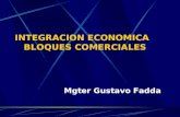 INTEGRACION ECONOMICA BLOQUES COMERCIALES Mgter Gustavo Fadda.