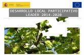 DESARROLLO LOCAL PARTICIPATIVO LEADER 2014-2020