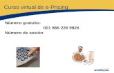 Curso virtual de  e-Pricing