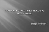 DOGMA  CENTRAL DE LA BIOLOGIA MOLECULAR