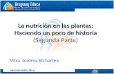 La nutrición en las plantas: Haciendo un poco de historia (Segunda Parte)