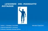 LESIONES  DEL MANGUITO ROTADOR
