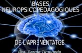 BASES  NEUROPSICOPEDAGÓGIQUES