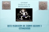 Beta oxidación de ácidos grasos Y CETOGENESIS