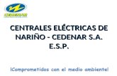 CENTRALES Eléctricas DE NARIÑO - CEDENAR S.A. E.S.P.