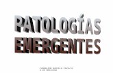PATOLOGÍAS EMERGENTES
