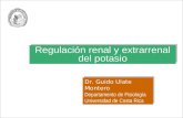 Regulación renal y extrarrenal del potasio