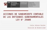 ACCIONES DE SANEAMIENTO CONTABLE DE LAS ENTIDADES GUBERNAMENTALES LEY Nº 29608