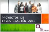 PROYECTOS DE INVESTIGACIÓN 2013