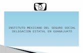 INSTITUTO  MEXICANO DEL SEGURO SOCIAL DELEGACION ESTATAL EN  GUANAJUATO