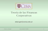 Teoría de las Finanzas Corporativas