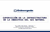 SUPERVISIÓN DE LA INFRAESTRUCTURA DE LA INDUSTRIA DEL GAS NATURAL