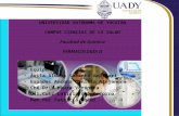 UNIVERSIDAD AUTÓNOMA DE YUCATÁN CAMPUS CIENCIAS DE LA SALUD Facultad de Química FARMACOLOGÍA II